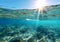 Split underwater view with sea bottom and sun flares.Macro.Ai Generative