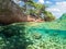 Split view - half underwater view of beautiful seabed and rocky coastline with pine trees, Turkey, Bodrum