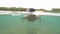 Split view of woman snorkeling in the ocean with dead corals on ocean floor.