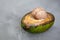 Spoiled avocado with green mold and black spots of rot and fungus on a gray background. Cut natural fruit, half with a round bone.