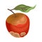 Spoiled and Rotten Apple Fruit with Skin Covered with Stinky Rot Vector Illustration