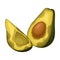 Spoiled and Rotten Avocado Fruit with Skin Covered with Stinky Rot Vector Illustration