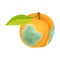 Spoiled and Rotten Peach Fruit with Skin Covered with Stinky Rot Vector Illustration