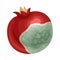 Spoiled and Rotten Pomegranate Fruit with Skin Covered with Stinky Rot Vector Illustration