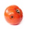 Spoiled tomato on white background