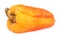 Spoiled yellow bell pepper isolated