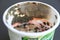 spoilt sour cream in a plastic container covered with different kinds of mold