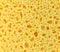 Sponge background. Cellular background.Yellow sponge for washing isolated. Porous material