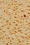 Sponge structure background texture