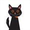 Spooky Cat Illustration Vector