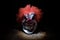 Spooky Clown head on wooden table. Evil clown head smiling on dark foggy background. Halloween concept