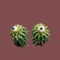 Spooky creative concept. Two scary candies on top of pair of pineapple leaves. Copy space with dark purple background