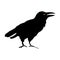 Spooky crow silhouette. Cawing bird illustration.