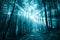 Spooky dark blue colored sunlight in forest landscape