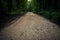 Spooky dark forest with empty road in receding light.