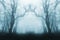 A spooky, eerie forest in winter, with the trees silhouetted by fog. With a muted, mirrored, blue edit