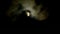 Spooky full moon on the dark cloudy sky