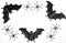 Spooky halloween border image with toy vampire bats and spiders