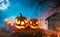 Spooky halloween pumpkins in dark mistery forest