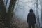 A spooky, hooded figure, back to camera. Standing in a forest on a eerie foggy winters day. With trees silhouetted against the fog