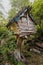 Spooky hut on a tree stump in forest. The concept of camping and the magical house of Baba Yaga from Slavic mythology