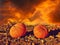 Spooky image of two pumpkins on a background of fire and smoke (