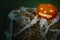 Spooky Jack-o`-lantern with glowing faces and cobweb in dark. Pumpkin with scary carved face on hay with candle light, modern