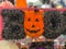 Spooky jack o pumpkin lantern symbol for halloween decoration