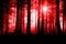 A spooky misty forest, with trees silhouetted by backlight and a glowing light in the sky. With a creepy, science fiction, horror,