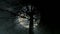 Spooky moon night background. tree silhouette
