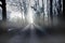 Spooky Mystery dark fog forest road