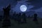 Spooky night at cemetery with old gravestones, full moon and black raven