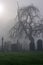 Spooky old cemetery on a foggy winters day