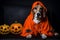 Spooky portrait of an Beagle (dog) in a Halloween setup in studio, dramatic lighting. Created with generative AI