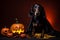 Spooky portrait of a Dachshund (dog) in a Halloween setup in studio, dramatic lighting. Created with generative AI