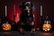 Spooky portrait of a Rottweiler (dog) in a Halloween setup in studio, dramatic lighting. Created with generative AI