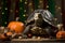 Spooky portrait of a turtle or tortoise in a Halloween setup in studio, dramatic lighting. Created with generative AI