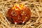 Spooky pumpkin filled with candy corn on straw