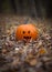 Spooky pumpkin on a path in leaves