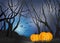 Spooky pumpkin in a scary dark mystery forest. illustration of h