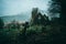 Spooky ruined church surrounded by a graveyard on a misty winters day in the English countryside