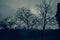Spooky shot of a silhouette of trees in a field on a gloomy day