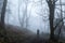 A spooky silhouette of a hooded figure standing in a foggy winters forest