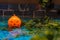 Spooky smile Halloween jack o lantern with creepy garden background