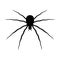 Spooky spider silhouette. Poisonous black karakurt insect prepares to attack