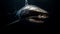 Spooky underwater horror blacktip reef shark sharp teeth and aggression generated by AI