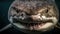 Spooky underwater portrait Giant animal teeth smiling generated by AI