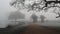 Spooky walking path into the mist