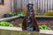 Spooky witch statuette in a garden, outdoor halloween decorations, fairy tale characters