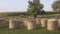 Spools of harvested hay in the field. Harvest time. Pumpkins lie on the straw.